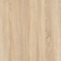 APL_123 - Virginia oak - Dub virginia